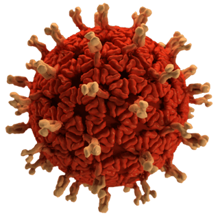 COVID virus cell, clinical research